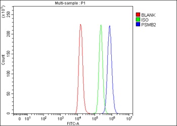 PSMB2 Antibody 抗体，orb1728104，B
