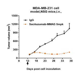 Anti-TROP2 Reference Antibody 