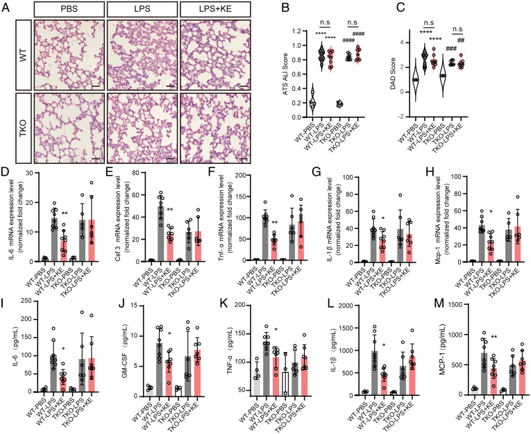 LabEx Luminex检测平台助力抗哮喘药物研究