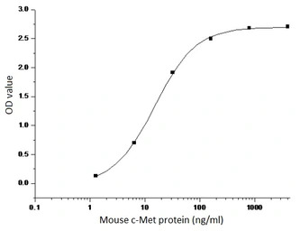 Mouse c-Met protein, human IgG