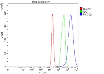 Anti-MCCC2 Antibody 抗体，orb1786