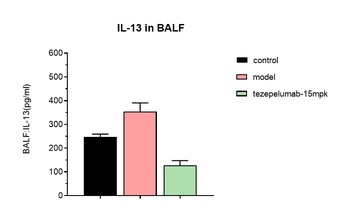 Anti-TSLP Reference Antibody 抗