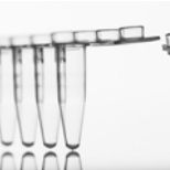 azenta 安升达一级签约代理商 4Ti-0792 8 孔 PCR 管条,带连体盖