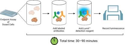 产品细节图片13