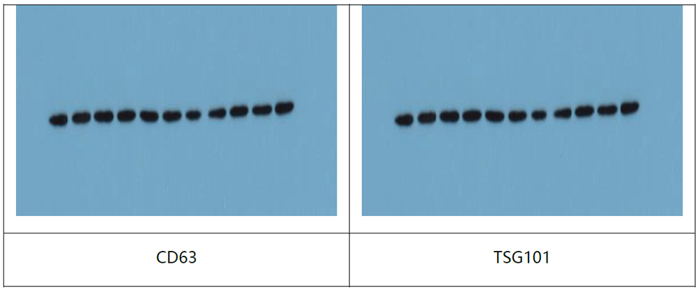 产品细节图片15