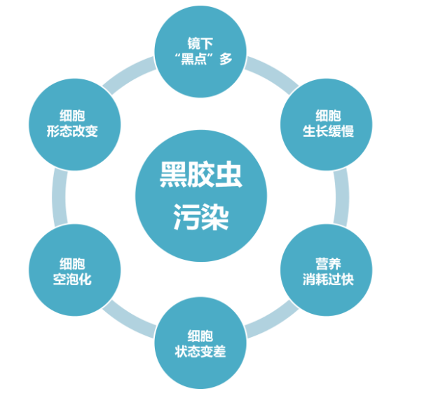 黑胶虫清除剂   1.png