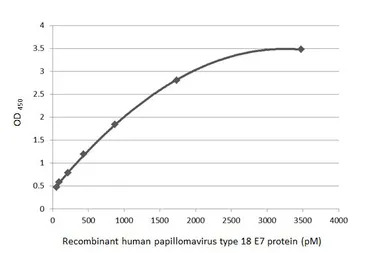 Human Papillomavirus type 18 E