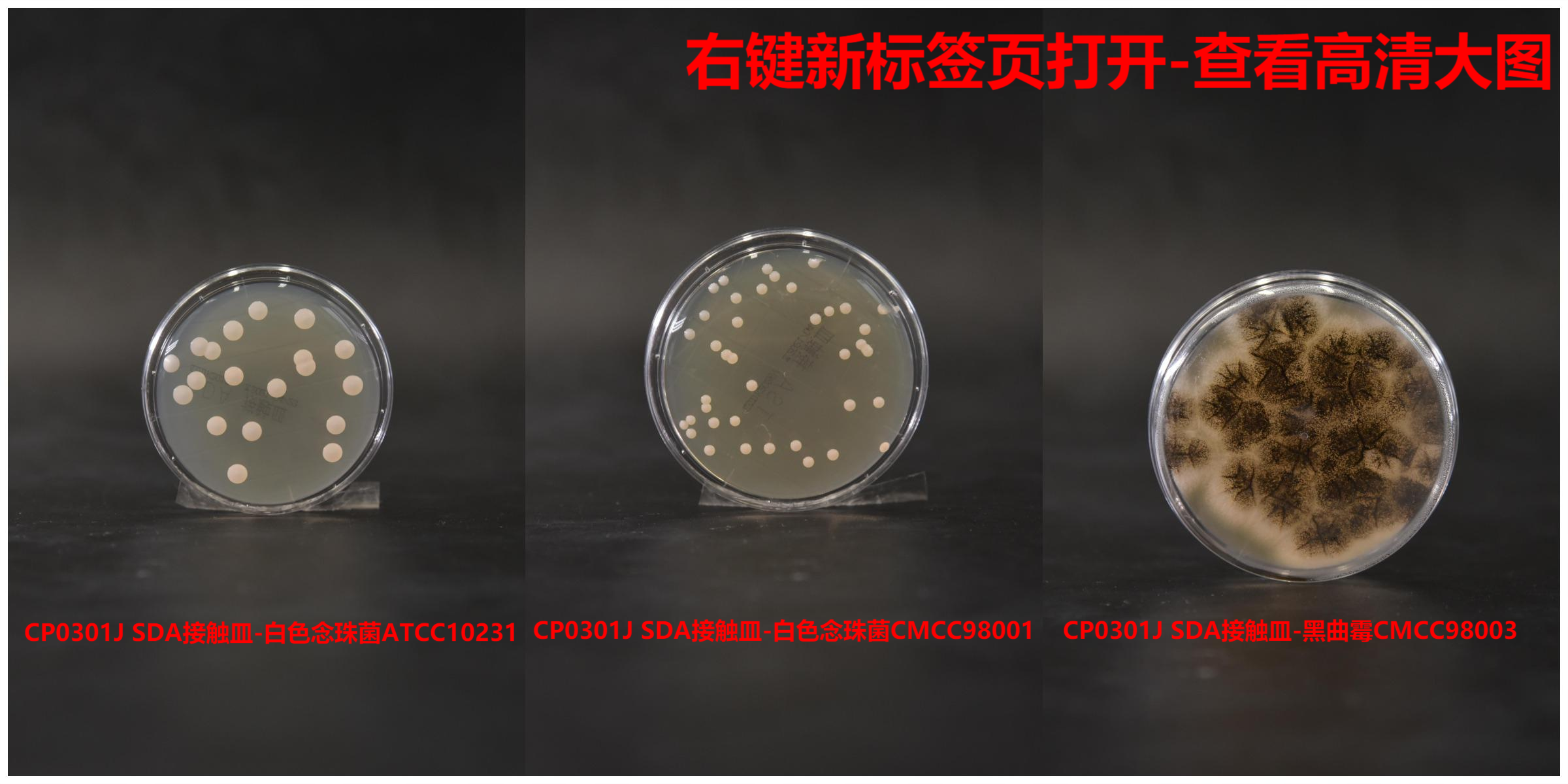 SDA接触皿(药典)(三层无菌包装) 55mm