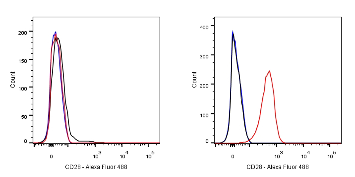Mouse anti-CD28 Recombinant Mo
