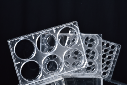 Watson 197-48CPS 48孔细胞培养板,无菌,独