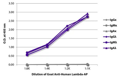 Goat Anti-Human lambda light c