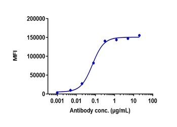 Anti-CDH17 / Cadherin-17 Refer
