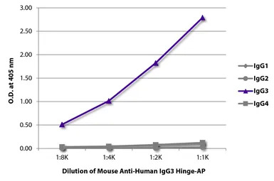 Mouse Anti-Human IgG3 (hinge r
