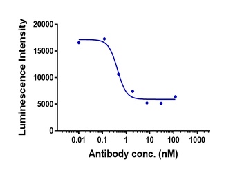 Anti-CD4 Reference Antibody 抗体