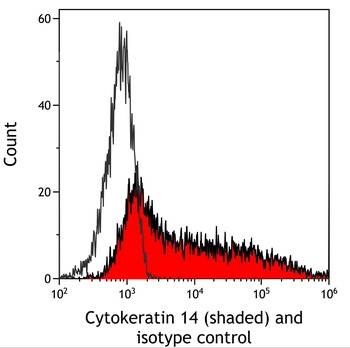Cytokeratin 14 Antibody 抗体，orb