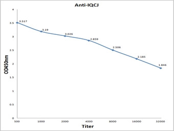 IQCJ antibody