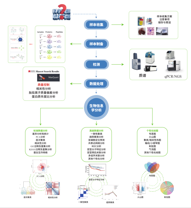 蛋白质组学检测
