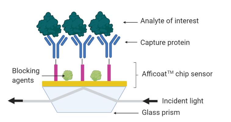 亲和力检测服务