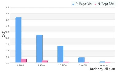PERK (phospho Thr982) antibody