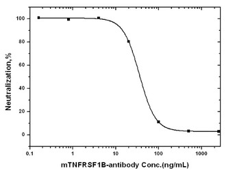 TNF Receptor II antibody [R204