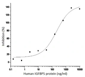 Human IGFBP5 protein, His tag 