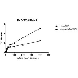 Histone H3K79ac (Acetyl Lys79)