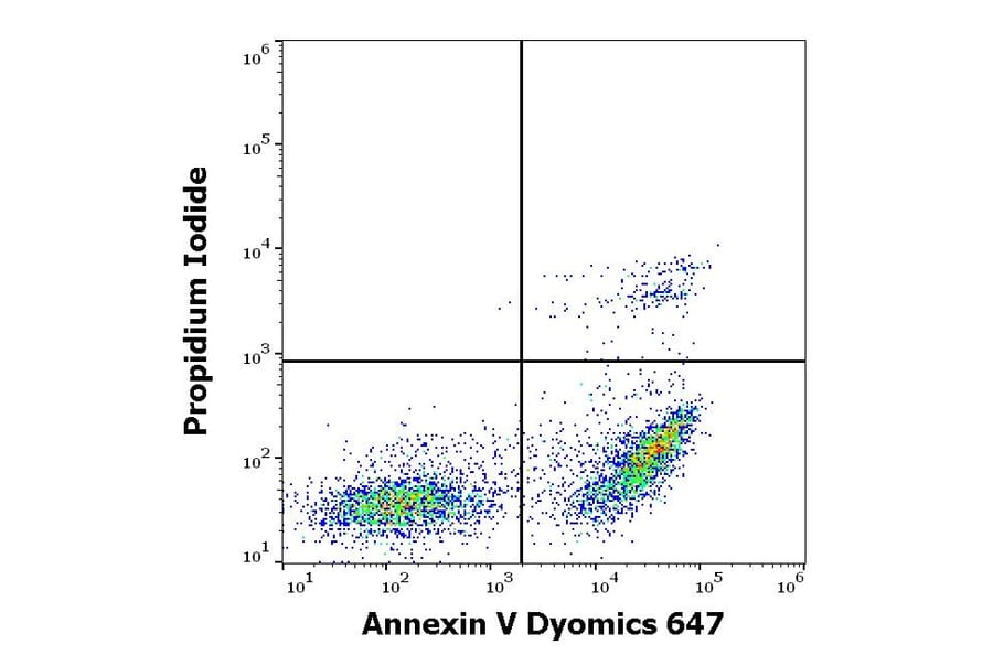 Flow Cytometry - Annexin V (Dyomics 647) (A285885) - Antibodies.com