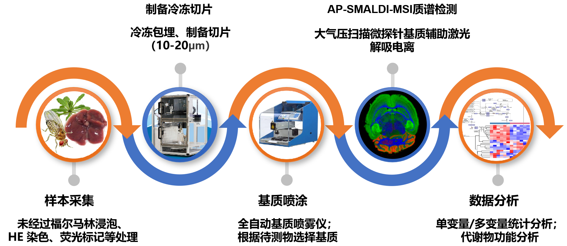 技术路线 技术路线