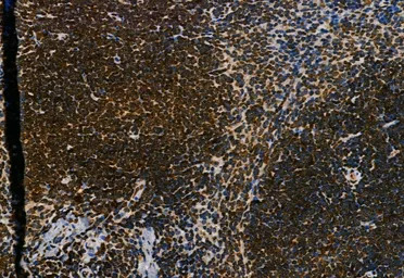 产品细节图片13