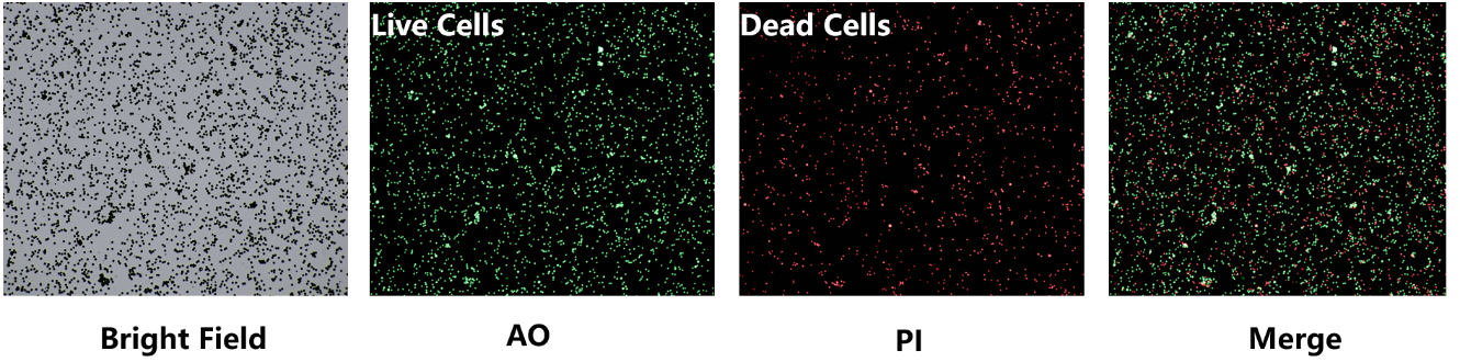 图片9.png 产品细节图片3