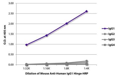 Mouse anti-Human IgG1 Hinge an