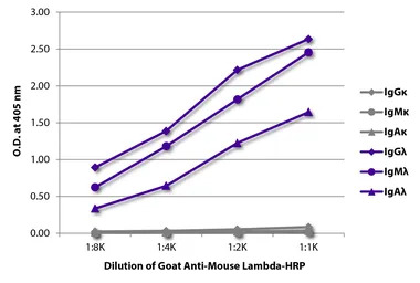 Goat Anti-Mouse lambda light c