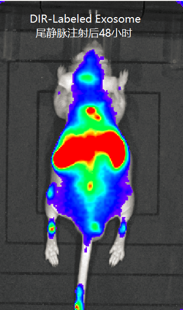 产品细节图片21