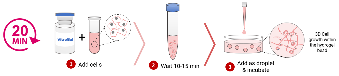 VitroGel® MSC 3D培养水凝胶 VHM03