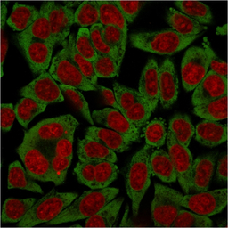 产品细节图片10
