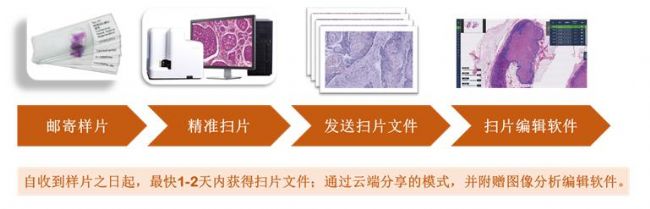 玻片扫描服务