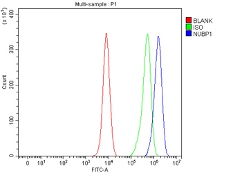 Anti-NUBP1 Antibody 抗体，orb1786