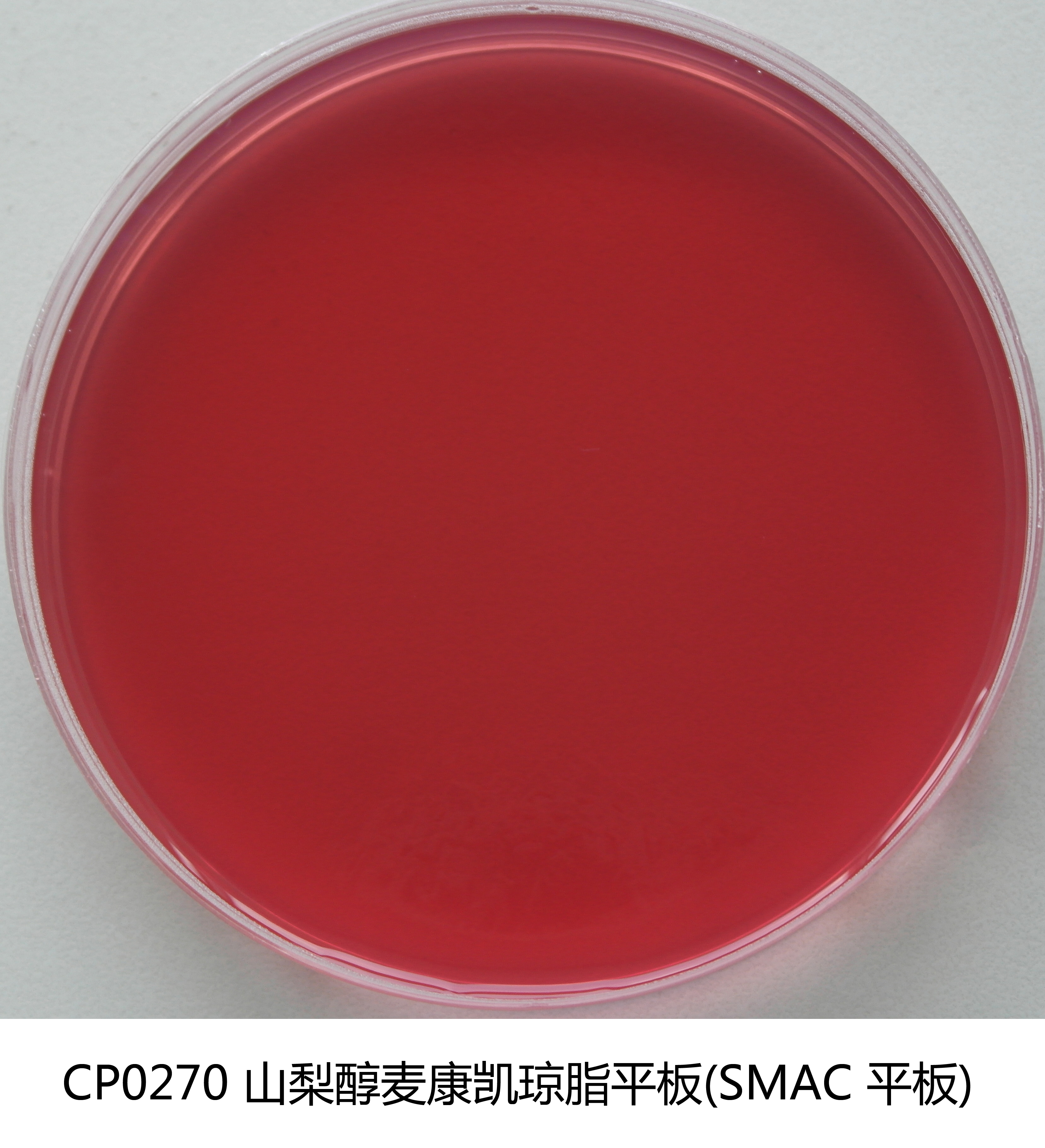 山梨醇麦康凯(SMAC)琼脂平板 山梨醇麦康凯(SMAC)琼脂平板