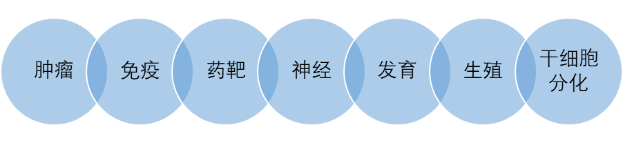 产品细节图片3