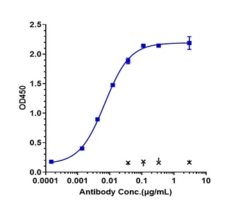 Anti-SIRPg / CD172g Reference 