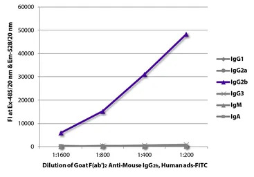 Goat Anti-Mouse IgG2b (Heavy c
