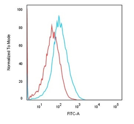 CDH16 antibody [rCDH16/1071]