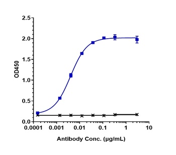 Anti-CEACAM5 / CEA / CD66e Ref