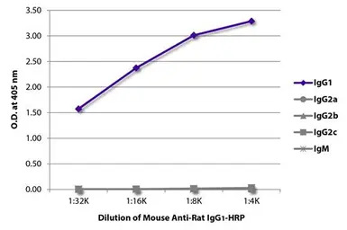 Mouse Anti-Rat IgG1 antibody [