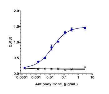 Anti-DLL3 Reference Antibody 抗