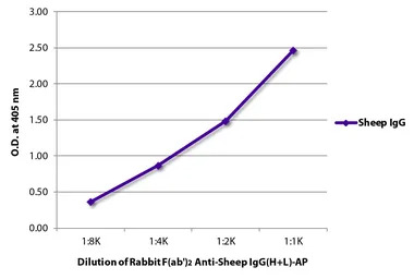 Rabbit Anti-Sheep IgG antibody