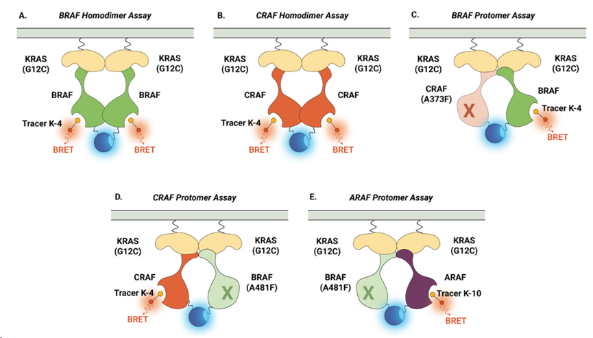 产品细节图片35