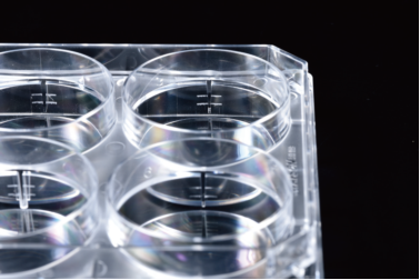 Watson 197-24CPS 24孔细胞培养板,无菌,独