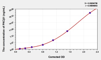 Mouse PKCβ1(Protein Kinase C B