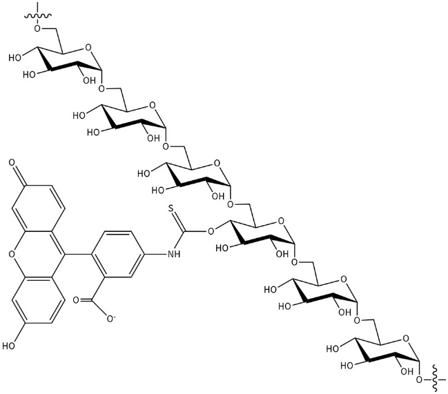 FITC-labeled Dextran (MW40,000